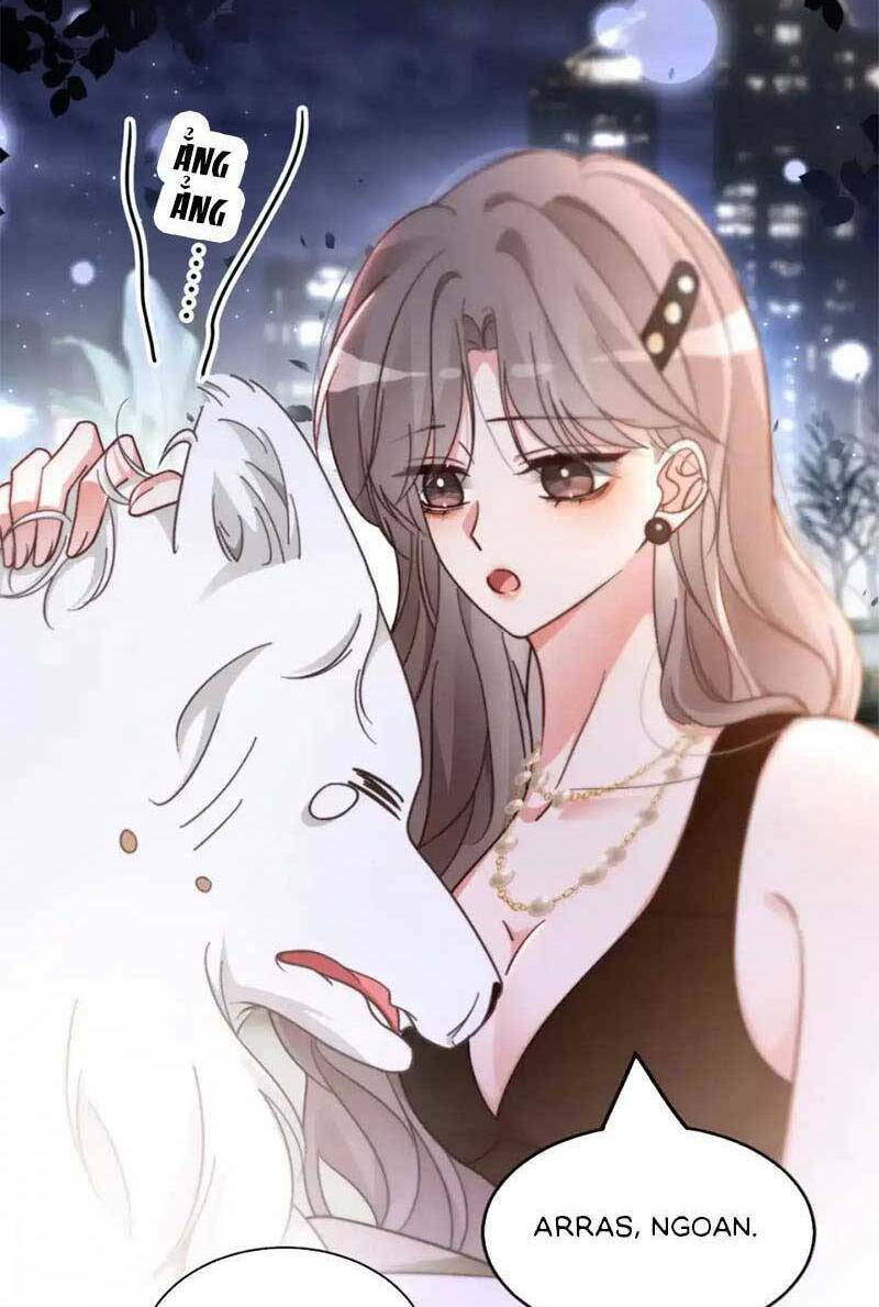 Được Các Anh Trai Chiều Chuộng Tôi Trở Nên Ngang Tàng: Chapter 255