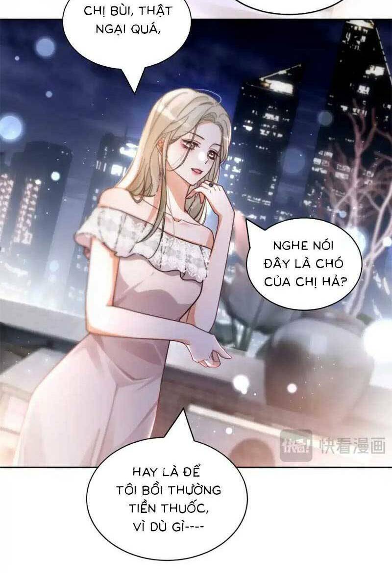 Được Các Anh Trai Chiều Chuộng Tôi Trở Nên Ngang Tàng: Chapter 255