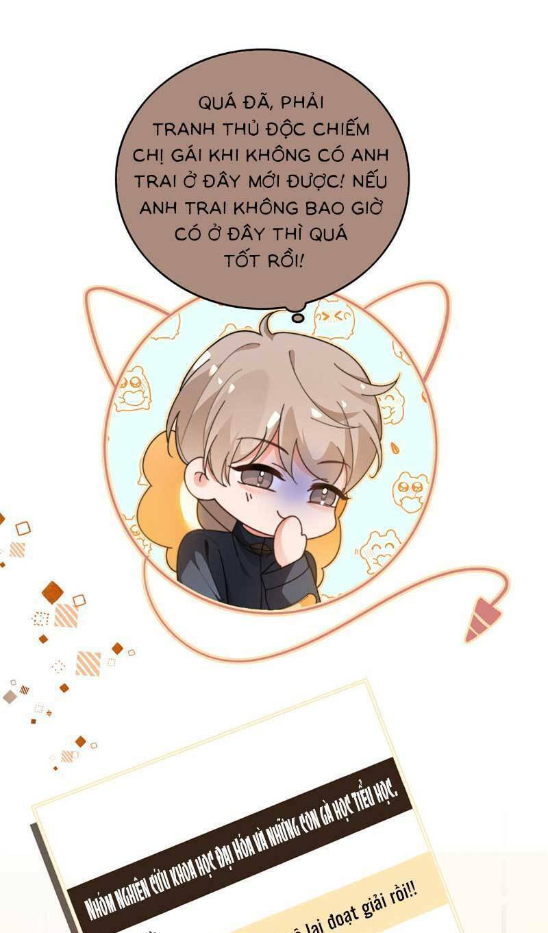 Được Các Anh Trai Chiều Chuộng Tôi Trở Nên Ngang Tàng: Chapter 271