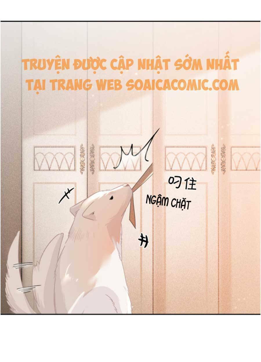 Được Các Anh Trai Chiều Chuộng Tôi Trở Nên Ngang Tàng: Chapter 59