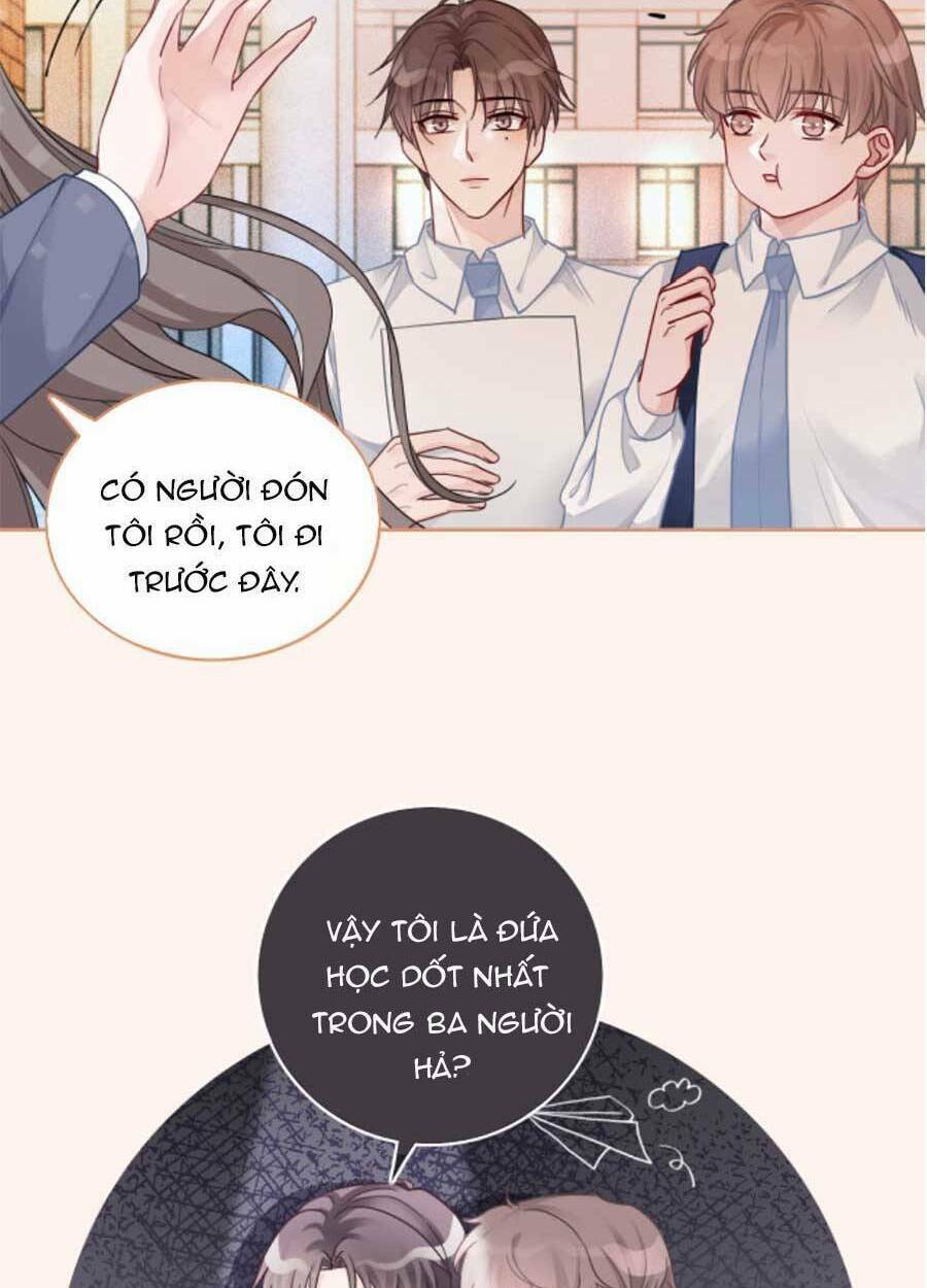 Được Các Anh Trai Chiều Chuộng Tôi Trở Nên Ngang Tàng: Chapter 73
