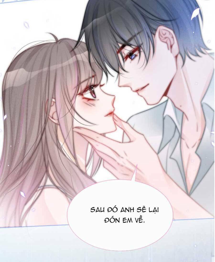 Được Các Anh Trai Chiều Chuộng Tôi Trở Nên Ngang Tàng: Chapter 77