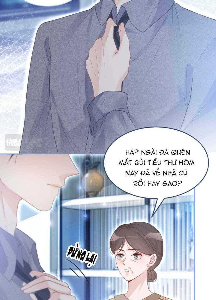 Được Các Anh Trai Chiều Chuộng Tôi Trở Nên Ngang Tàng: Chapter 78