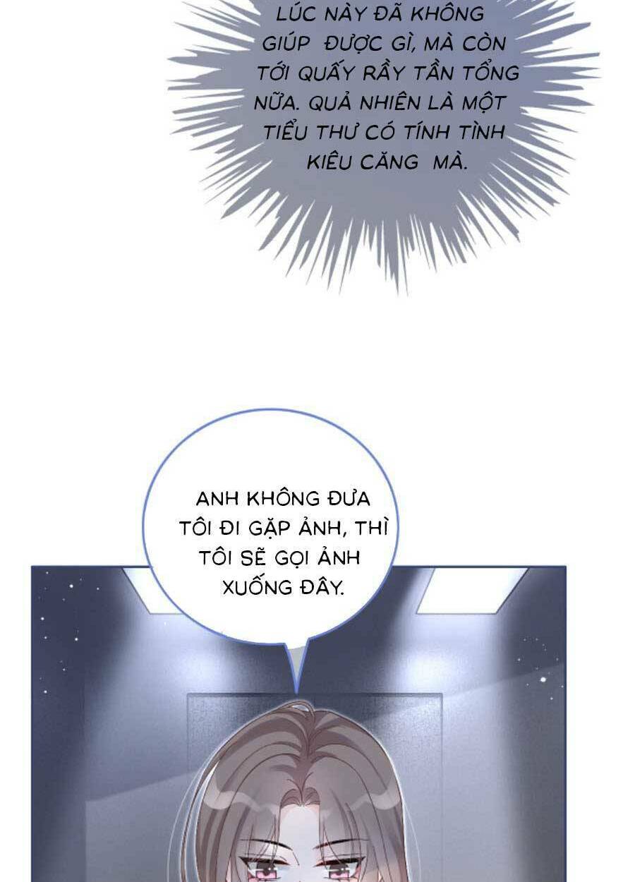 Được Các Anh Trai Chiều Chuộng Tôi Trở Nên Ngang Tàng: Chapter 84
