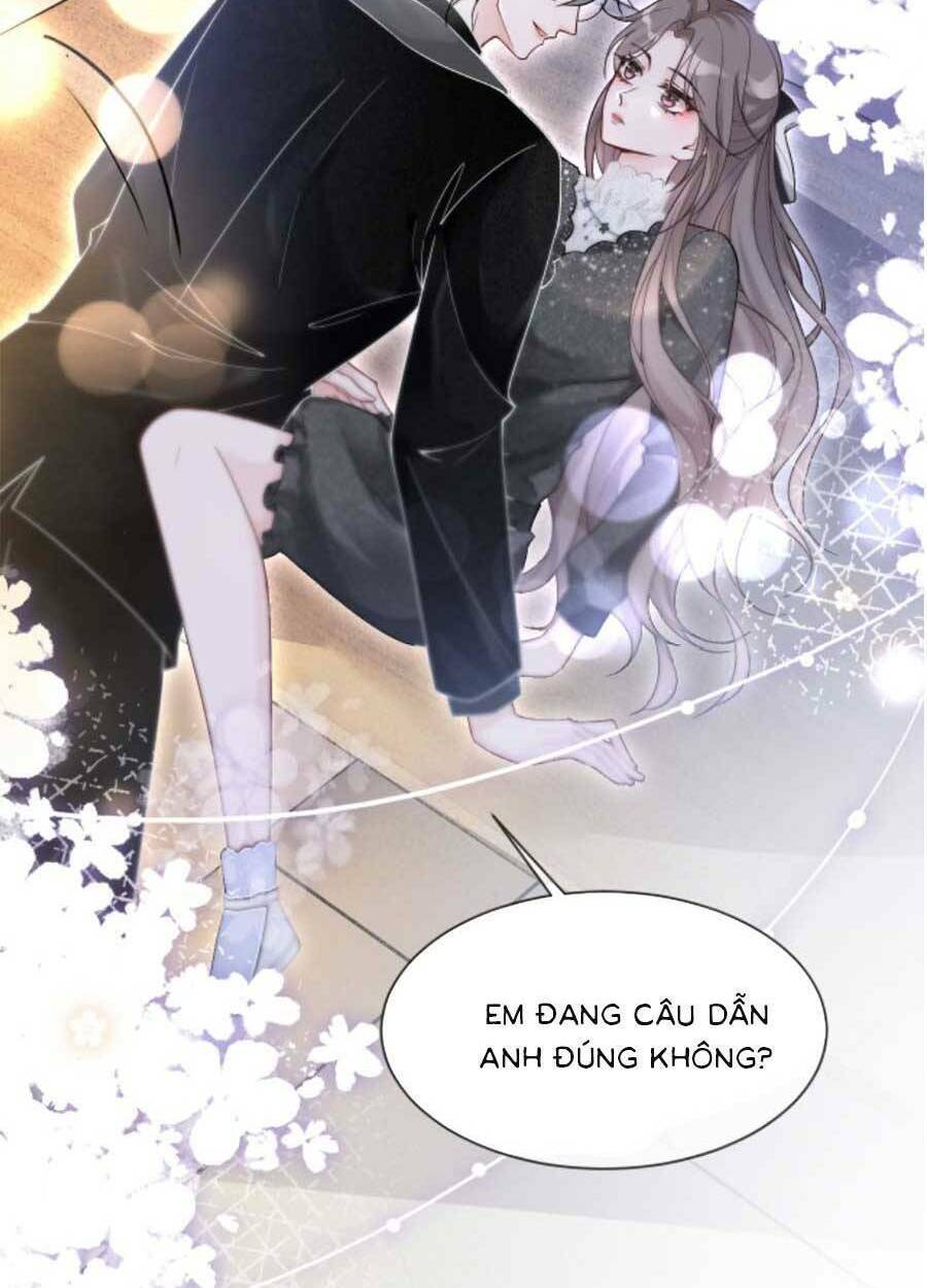 Được Các Anh Trai Chiều Chuộng Tôi Trở Nên Ngang Tàng: Chapter 92