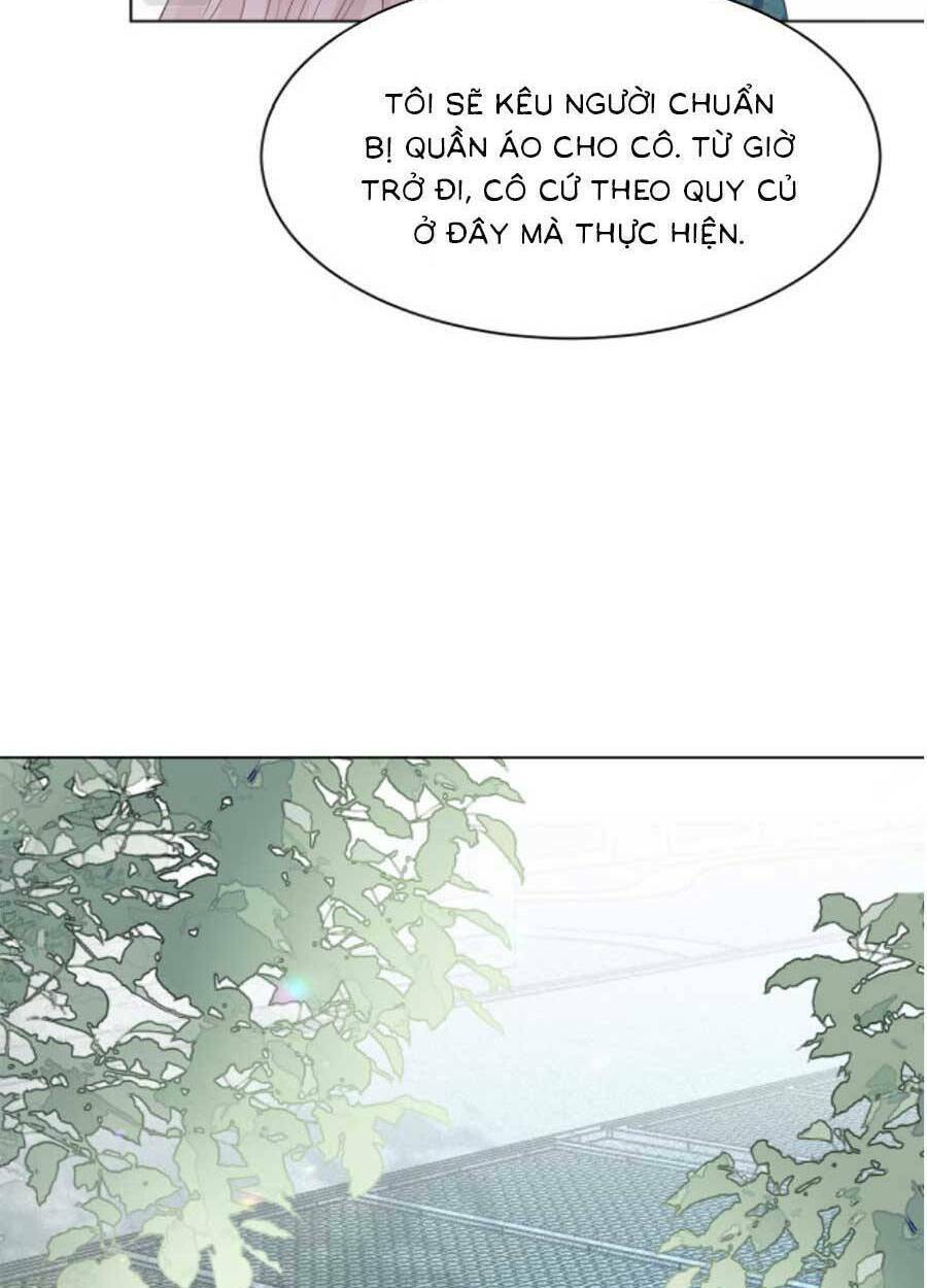 Được Các Anh Trai Chiều Chuộng Tôi Trở Nên Ngang Tàng: Chapter 94