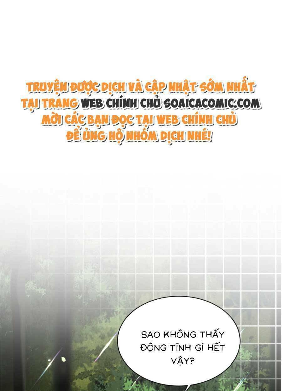 Được Các Anh Trai Chiều Chuộng Tôi Trở Nên Ngang Tàng: Chapter 96