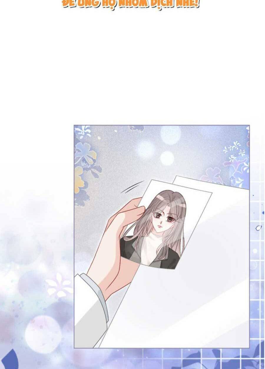 Được Các Anh Trai Chiều Chuộng Tôi Trở Nên Ngang Tàng: Chapter 97