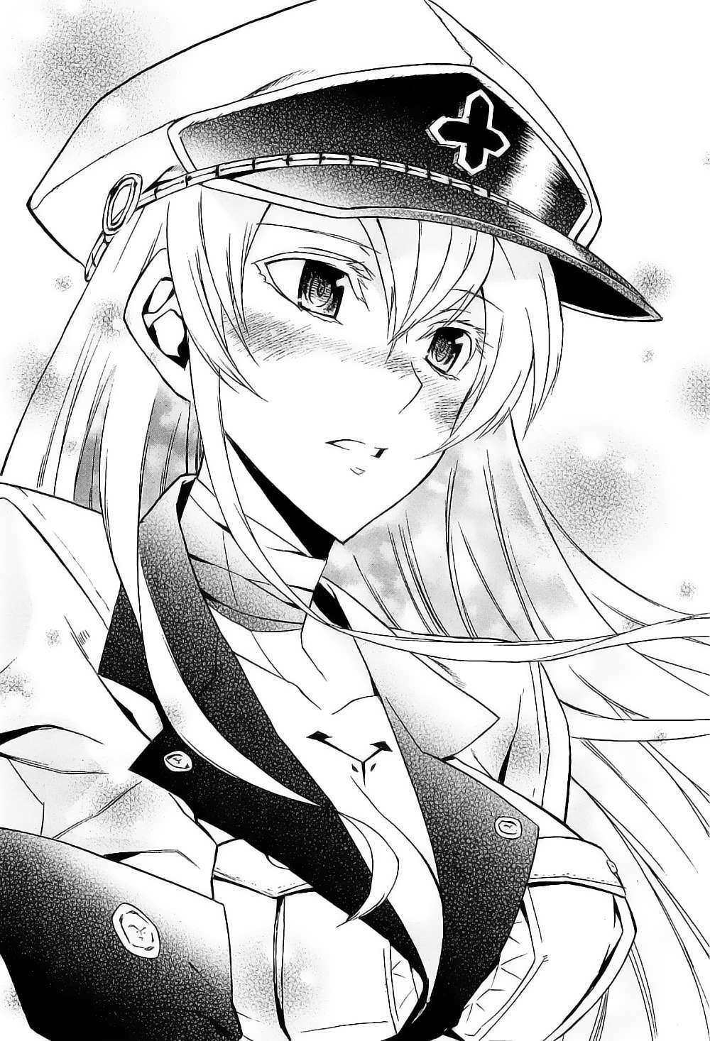 Akame ga Kiru!: Chapter 16