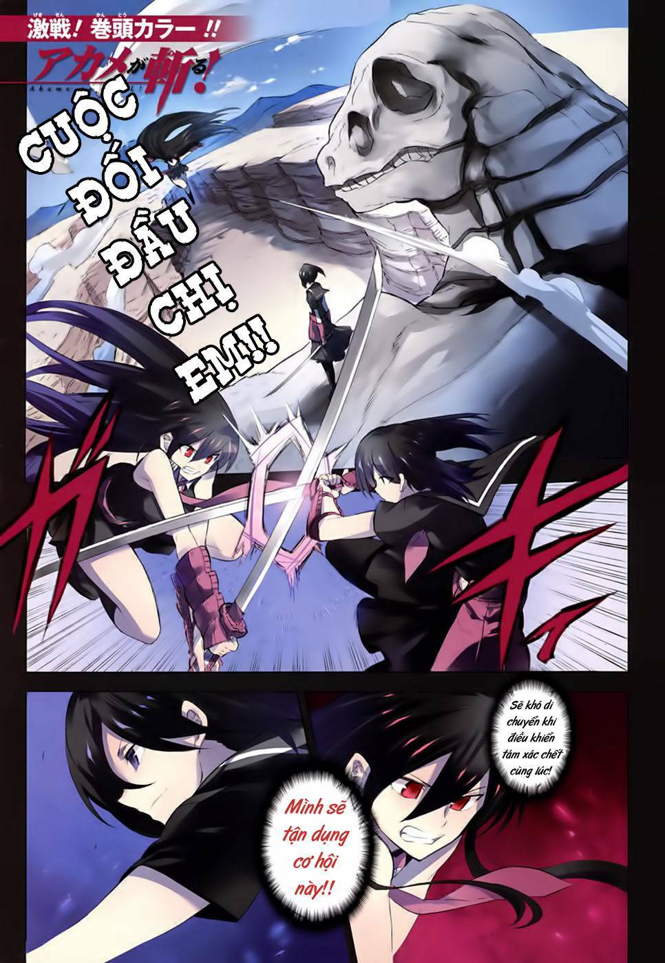 Akame ga Kiru!: Chapter 30