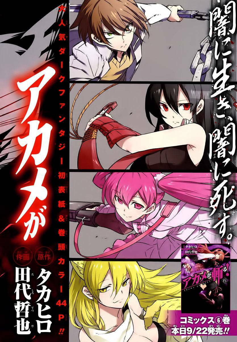 Akame ga Kiru!: Chapter 30