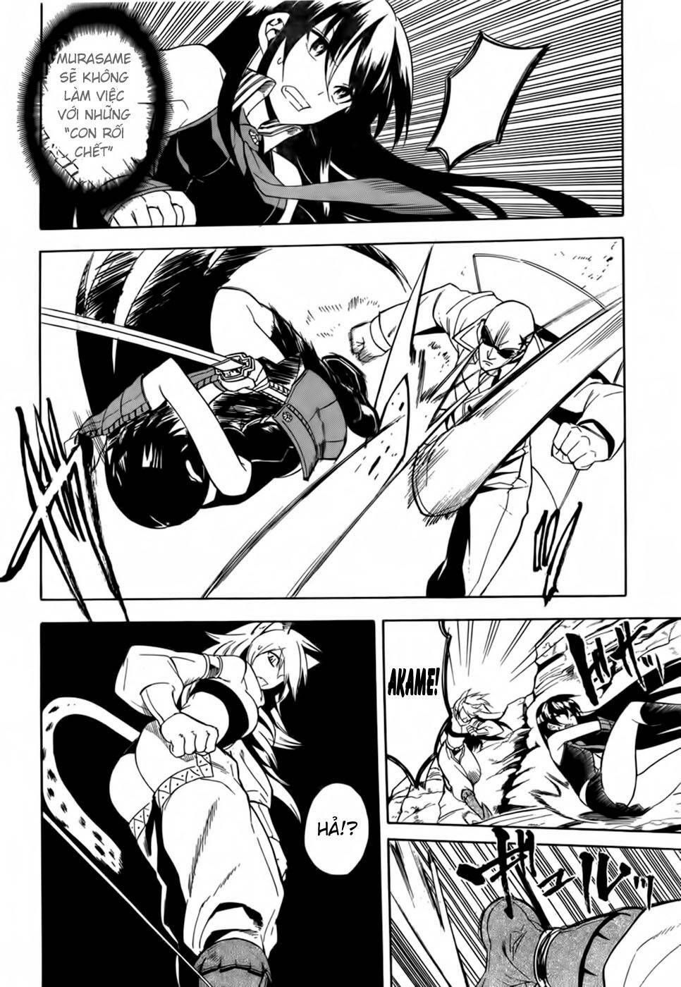 Akame ga Kiru!: Chapter 30
