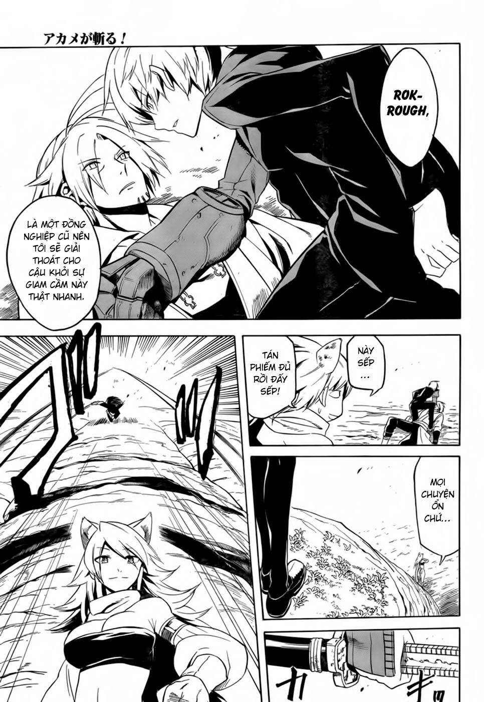 Akame ga Kiru!: Chapter 30