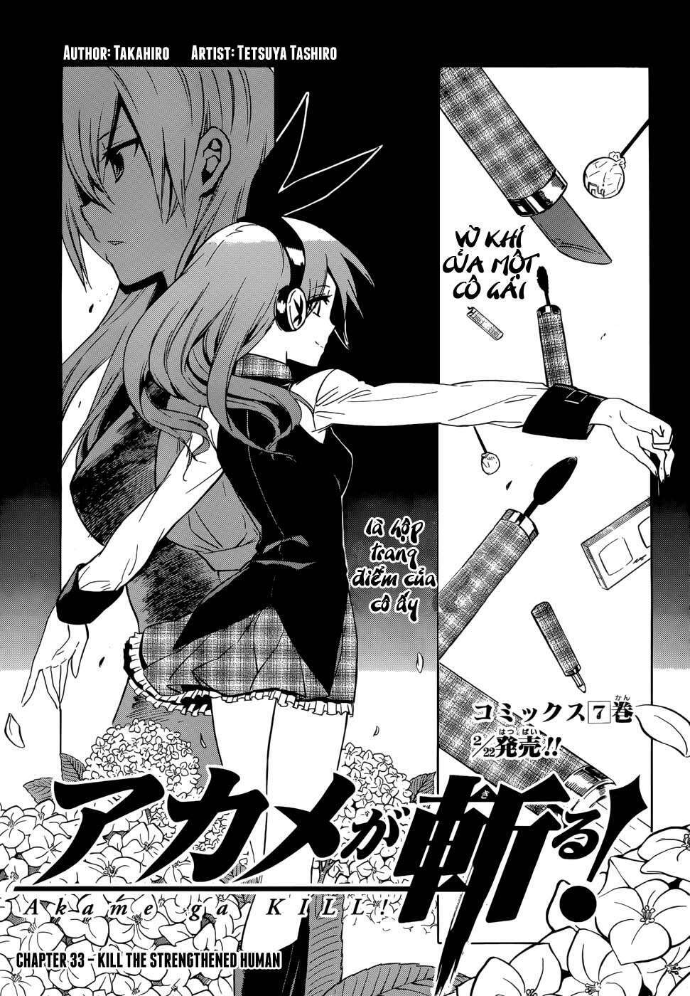 Akame ga Kiru!: Chapter 33