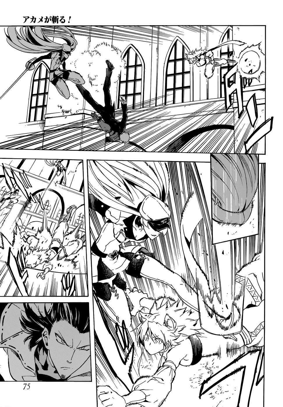 Akame ga Kiru!: Chapter 41