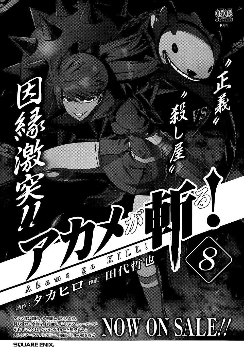 Akame ga Kiru!: Chapter 41