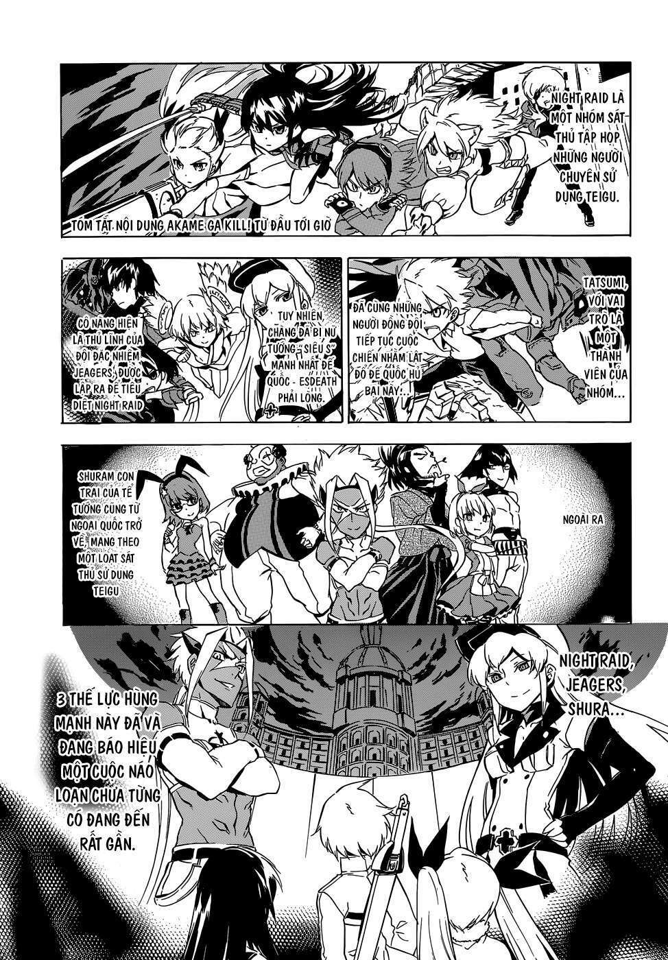 Akame ga Kiru!: Chapter 45