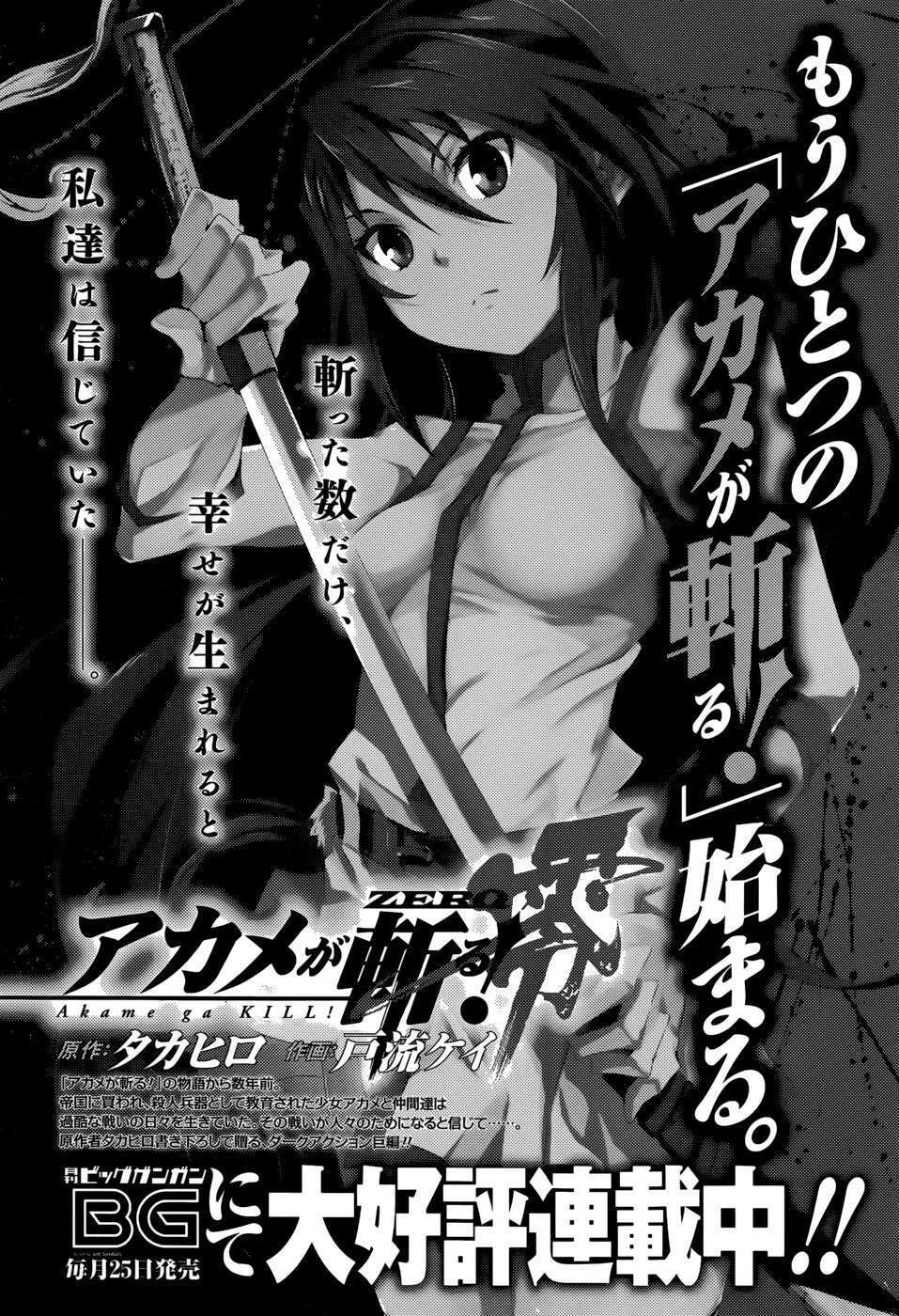 Akame ga Kiru!: Chapter 48