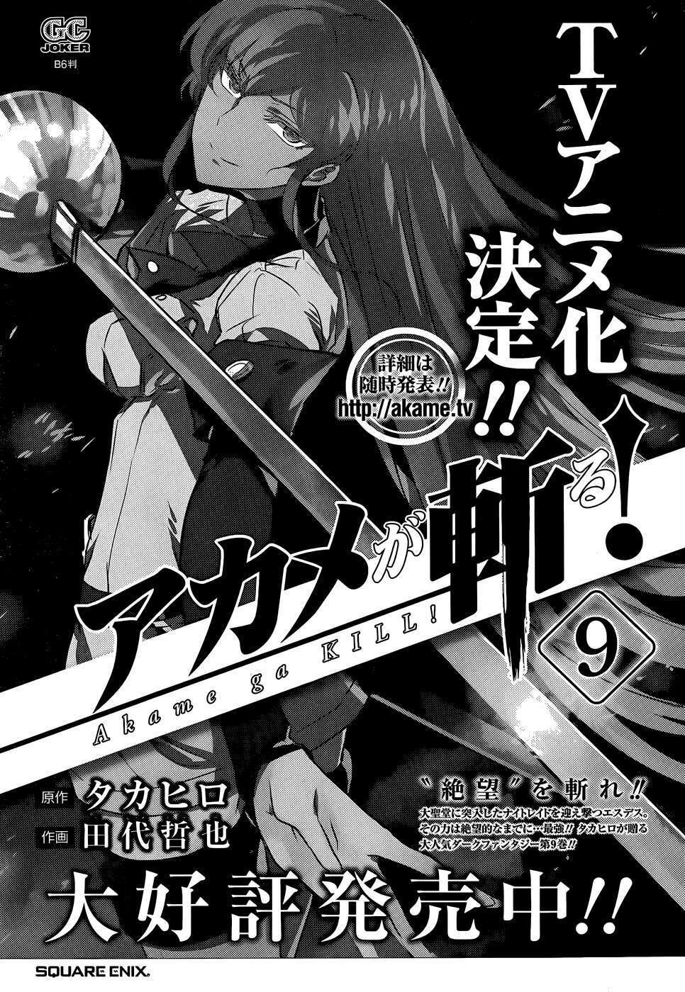 Akame ga Kiru!: Chapter 48