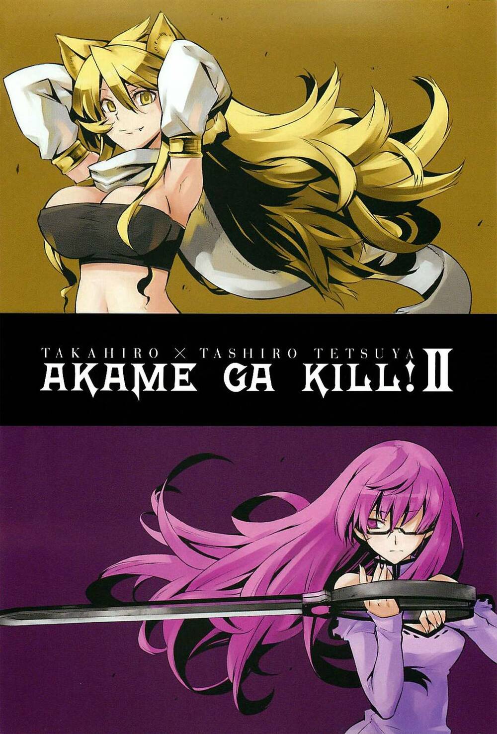 Akame ga Kiru!: Chapter 5