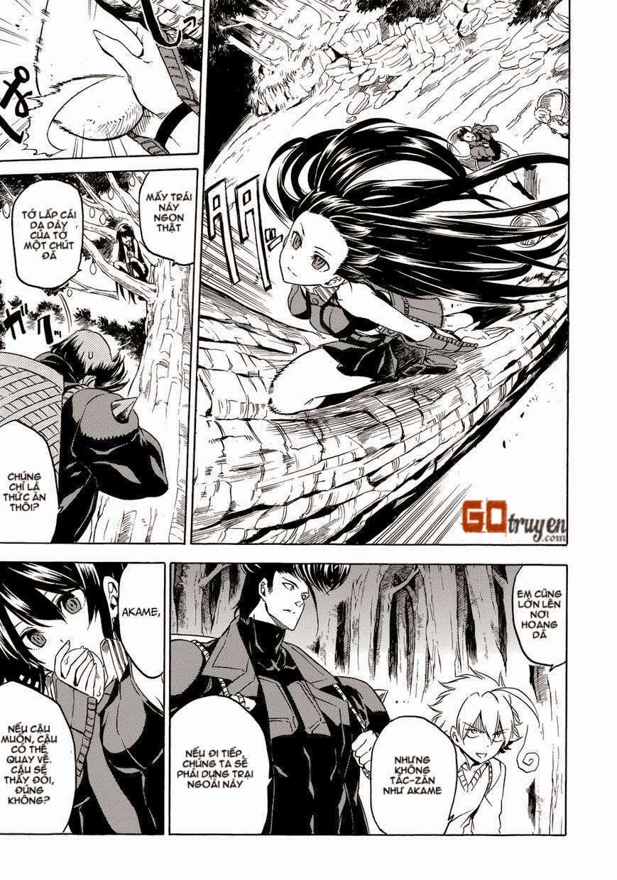 Akame ga Kiru!: Chapter 53.6