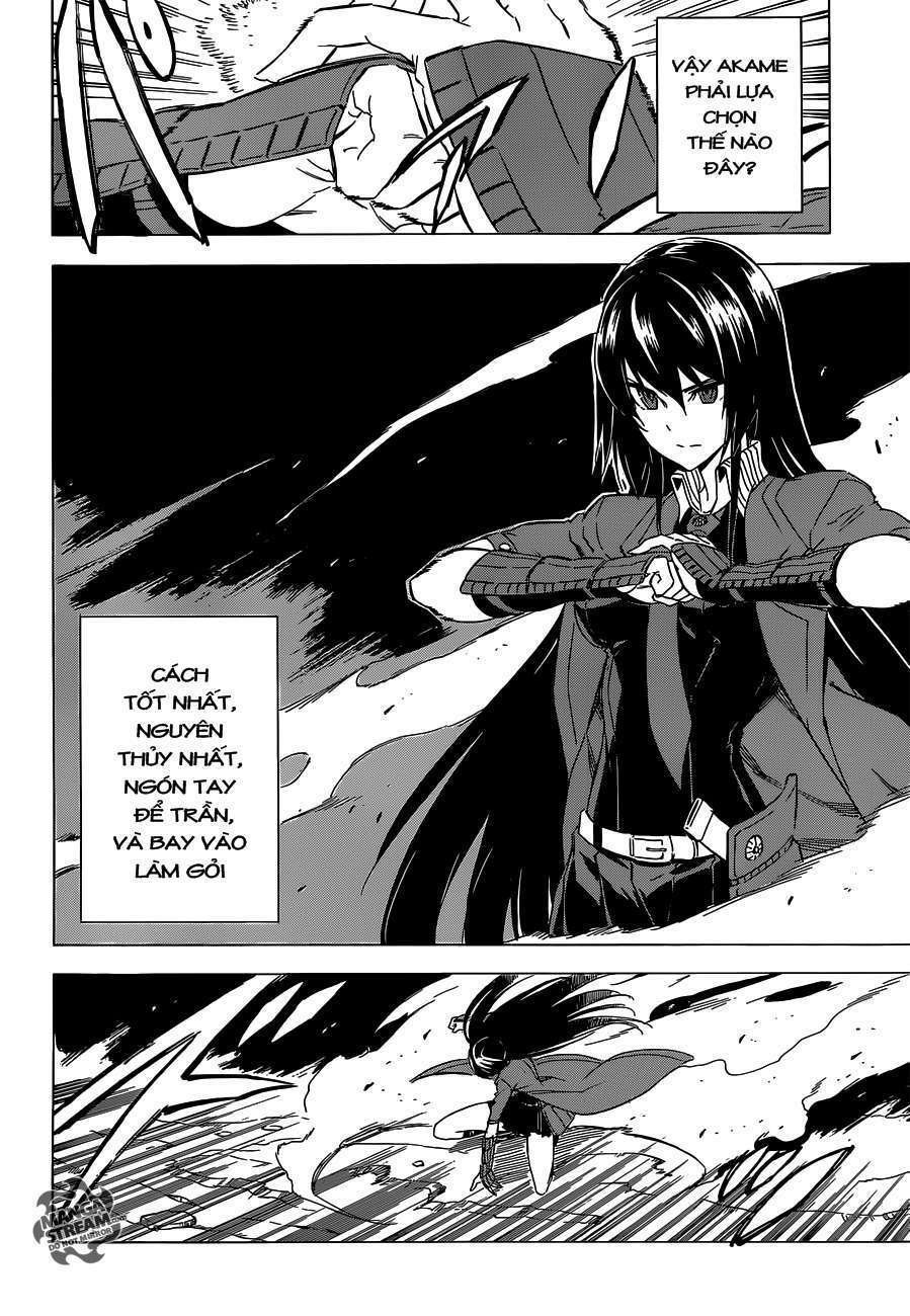Akame ga Kiru!: Chapter 59.2