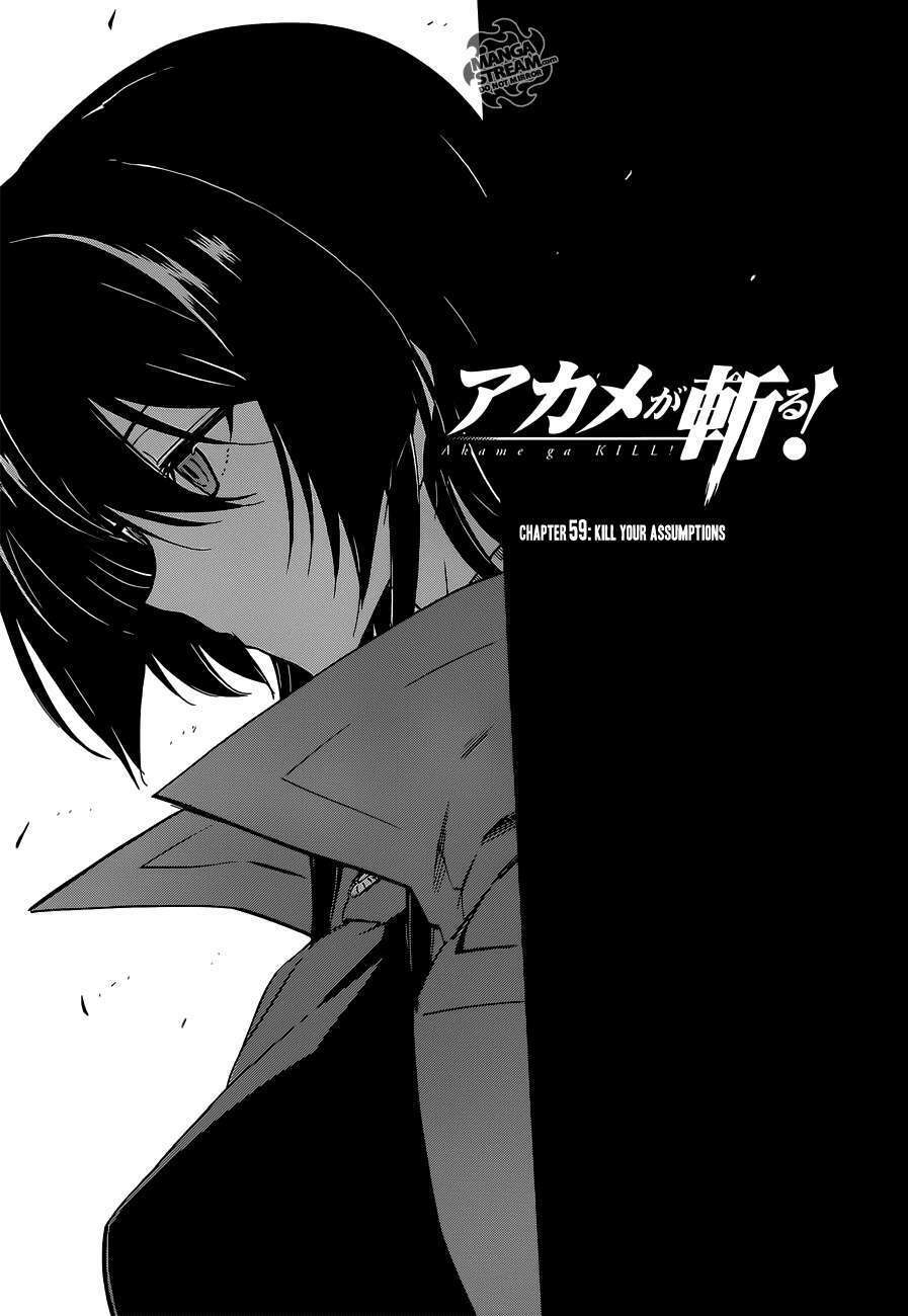 Akame ga Kiru!: Chapter 59.2