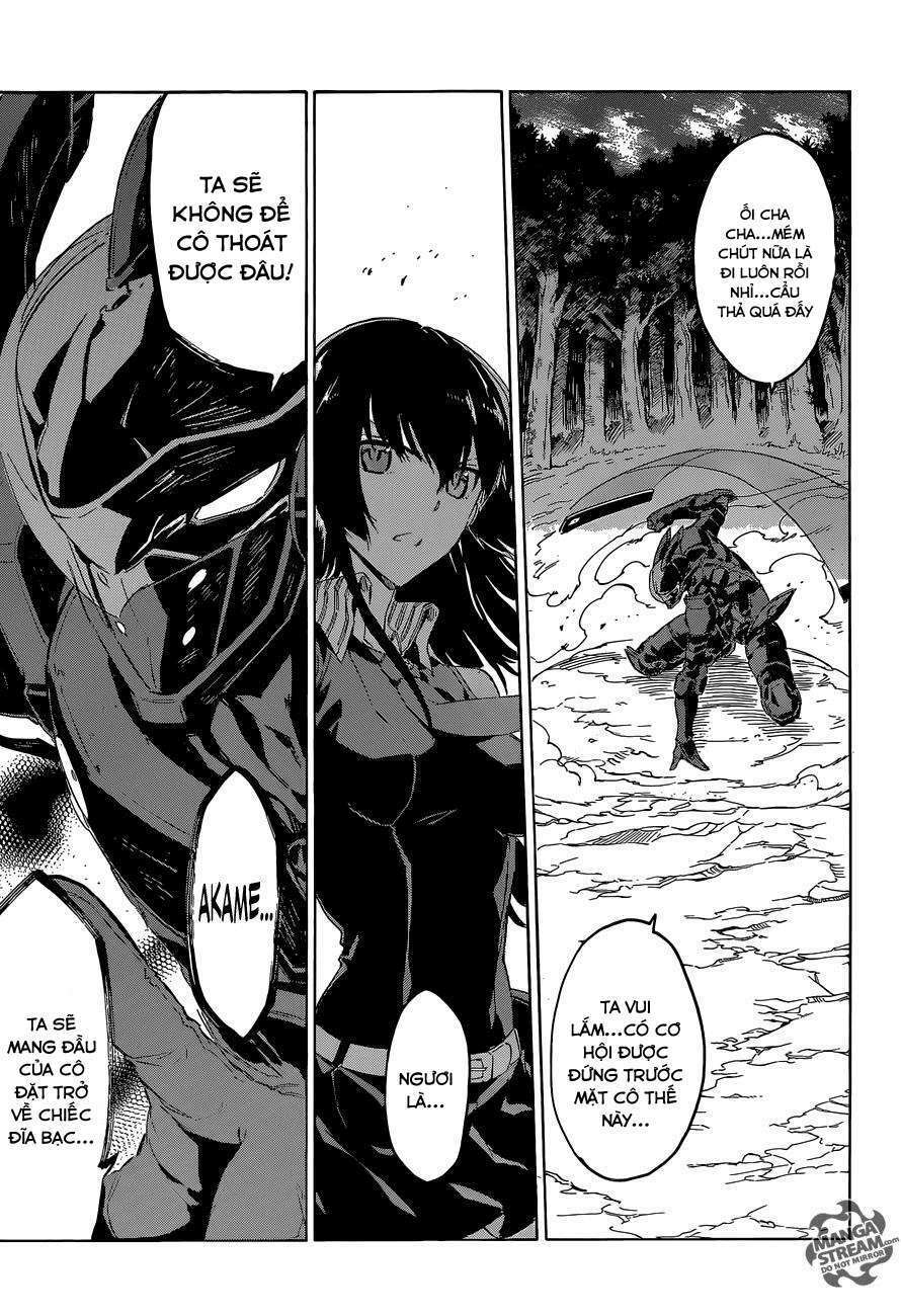 Akame ga Kiru!: Chapter 61