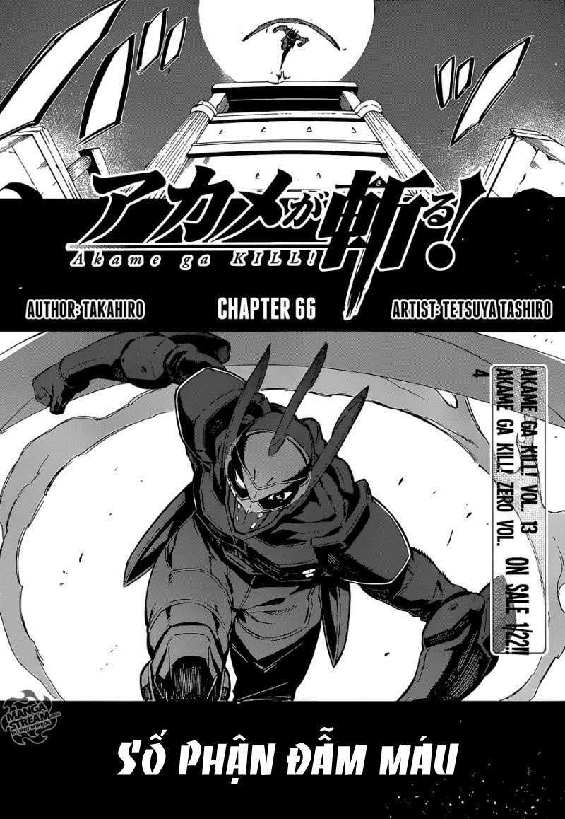 Akame ga Kiru!: Chapter 66