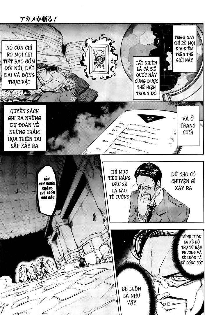 Akame ga Kiru!: Chapter 72.5