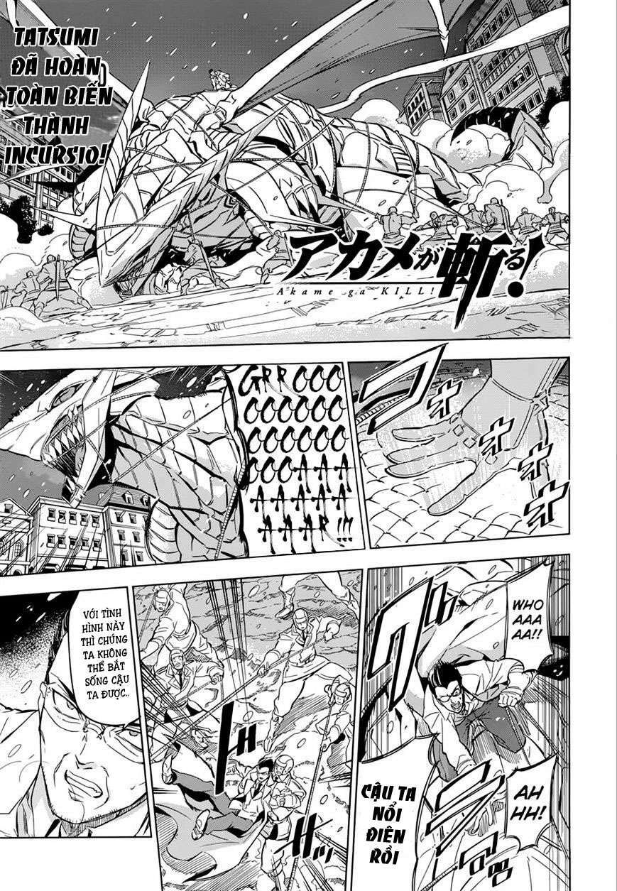 Akame ga Kiru!: Chapter 76
