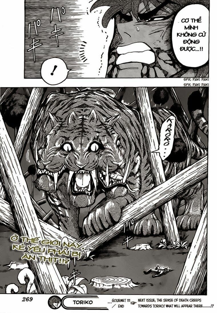 Thợ Săn Ẩm Thực: Chapter 111