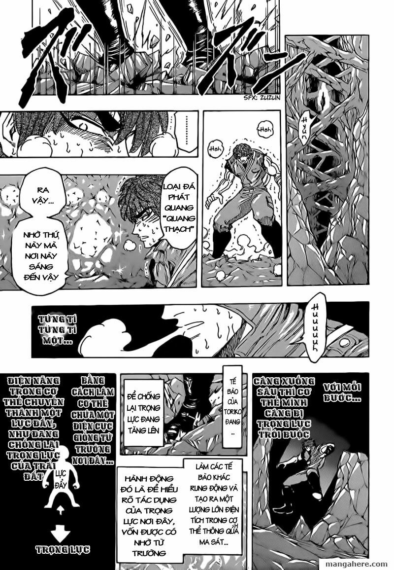 Thợ Săn Ẩm Thực: Chapter 120