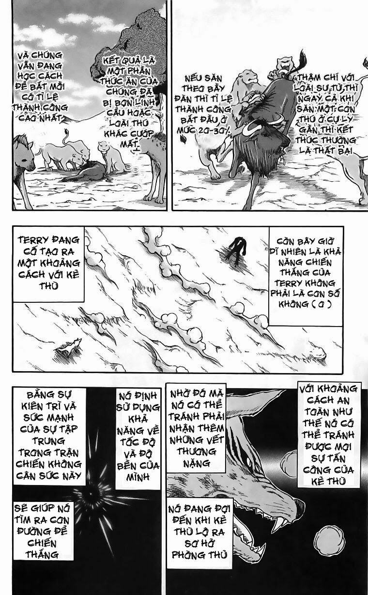 Thợ Săn Ẩm Thực: Chapter 44