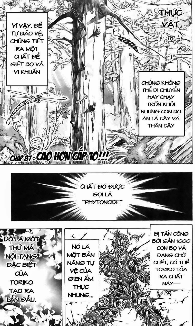 Thợ Săn Ẩm Thực: Chapter 87