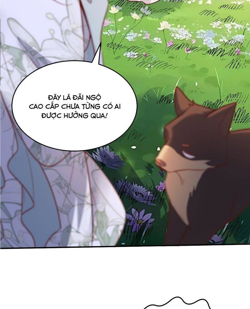 Nguyên Lai Ta Là Tu Tiên Đại Lão: Chapter 488