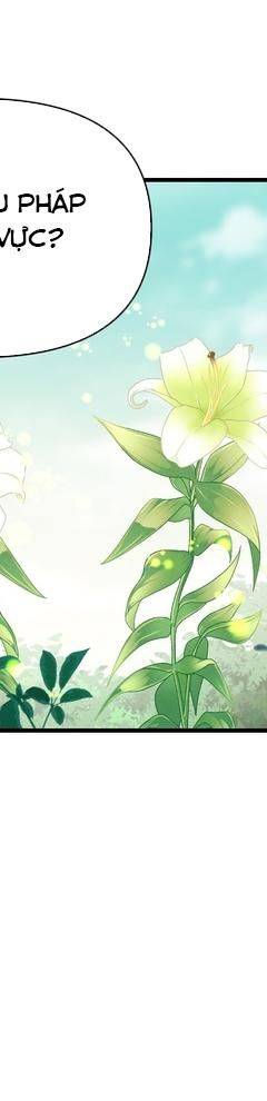 Nguyên Lai Ta Là Tu Tiên Đại Lão: Chapter 506