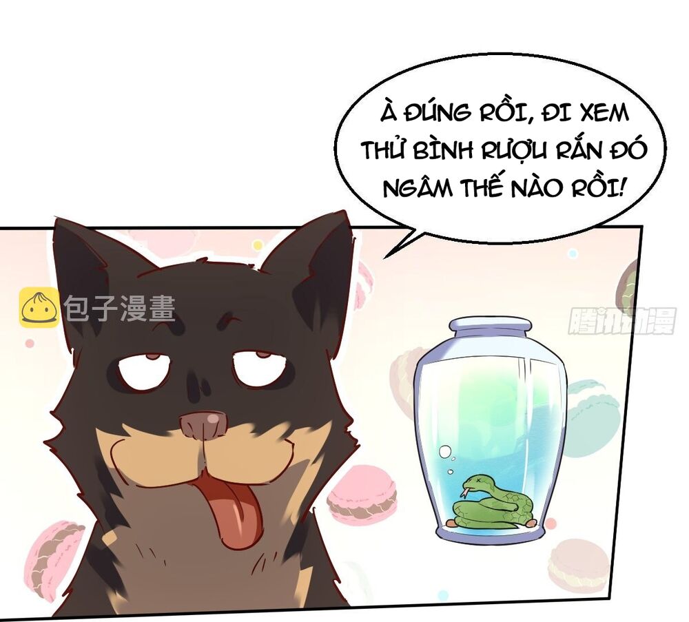 Nguyên Lai Ta Là Tu Tiên Đại Lão: Chapter 103