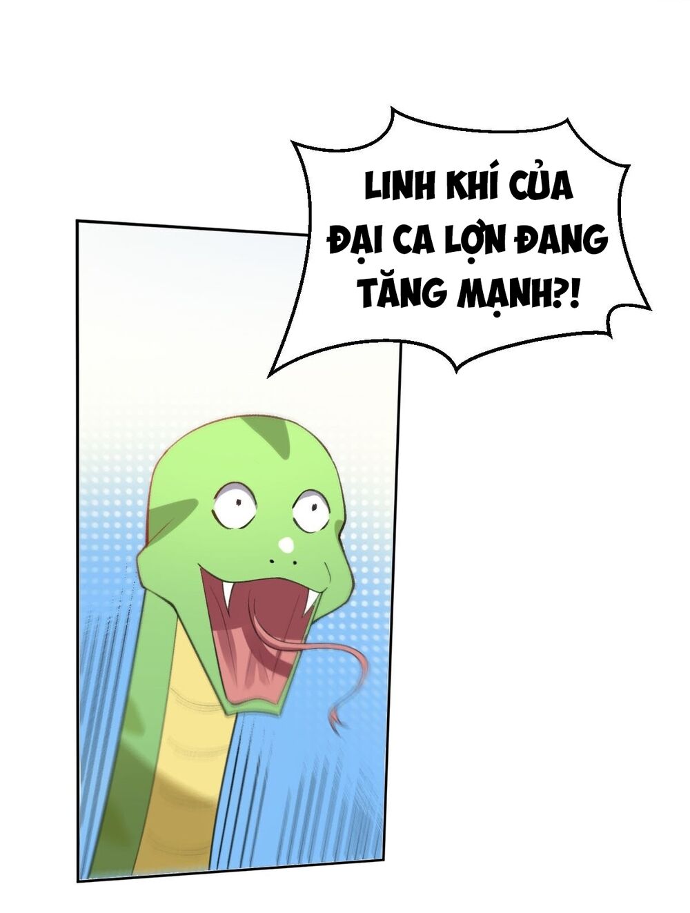 Nguyên Lai Ta Là Tu Tiên Đại Lão: Chapter 112