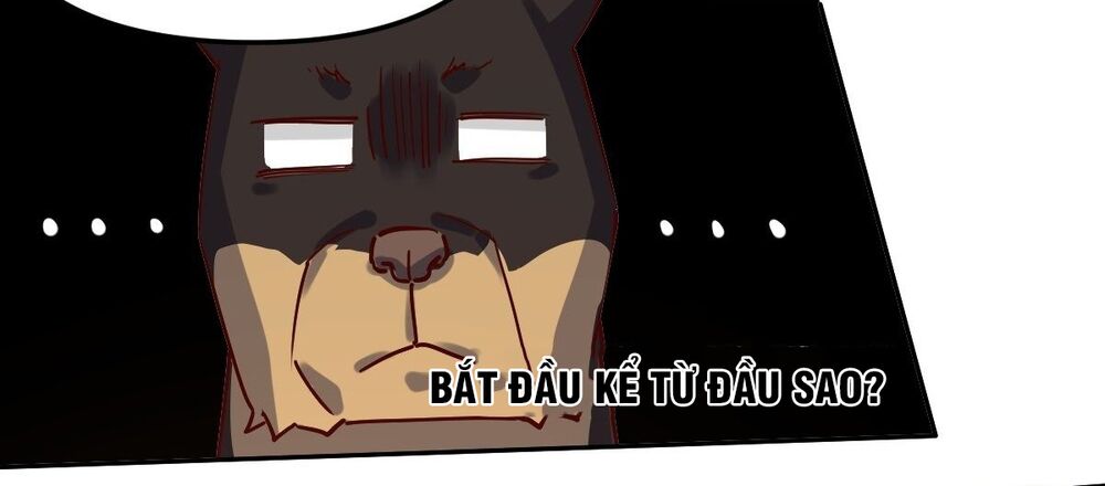 Nguyên Lai Ta Là Tu Tiên Đại Lão: Chapter 14