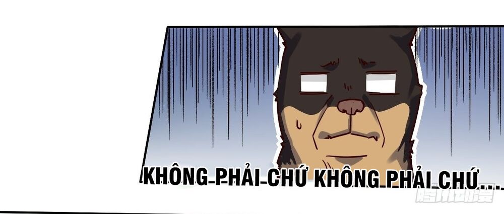 Nguyên Lai Ta Là Tu Tiên Đại Lão: Chapter 14