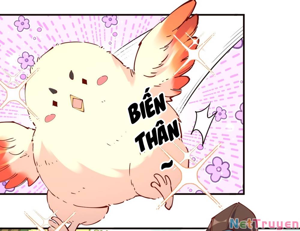 Nguyên Lai Ta Là Tu Tiên Đại Lão: Chapter 169