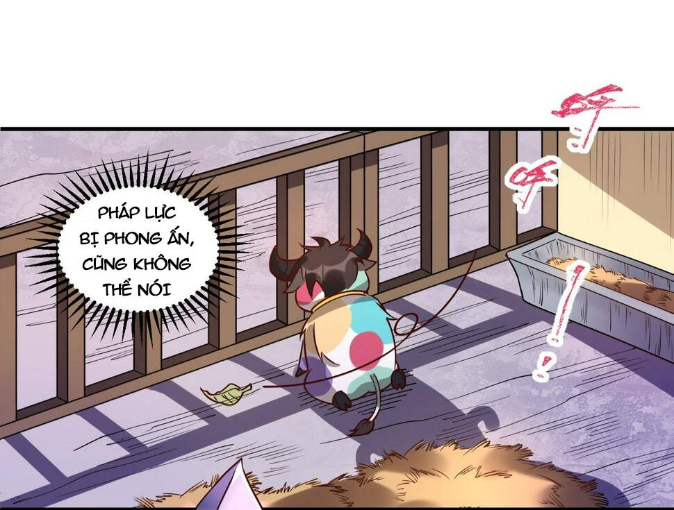 Nguyên Lai Ta Là Tu Tiên Đại Lão: Chapter 217
