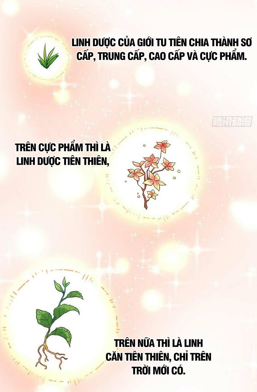 Nguyên Lai Ta Là Tu Tiên Đại Lão: Chapter 23