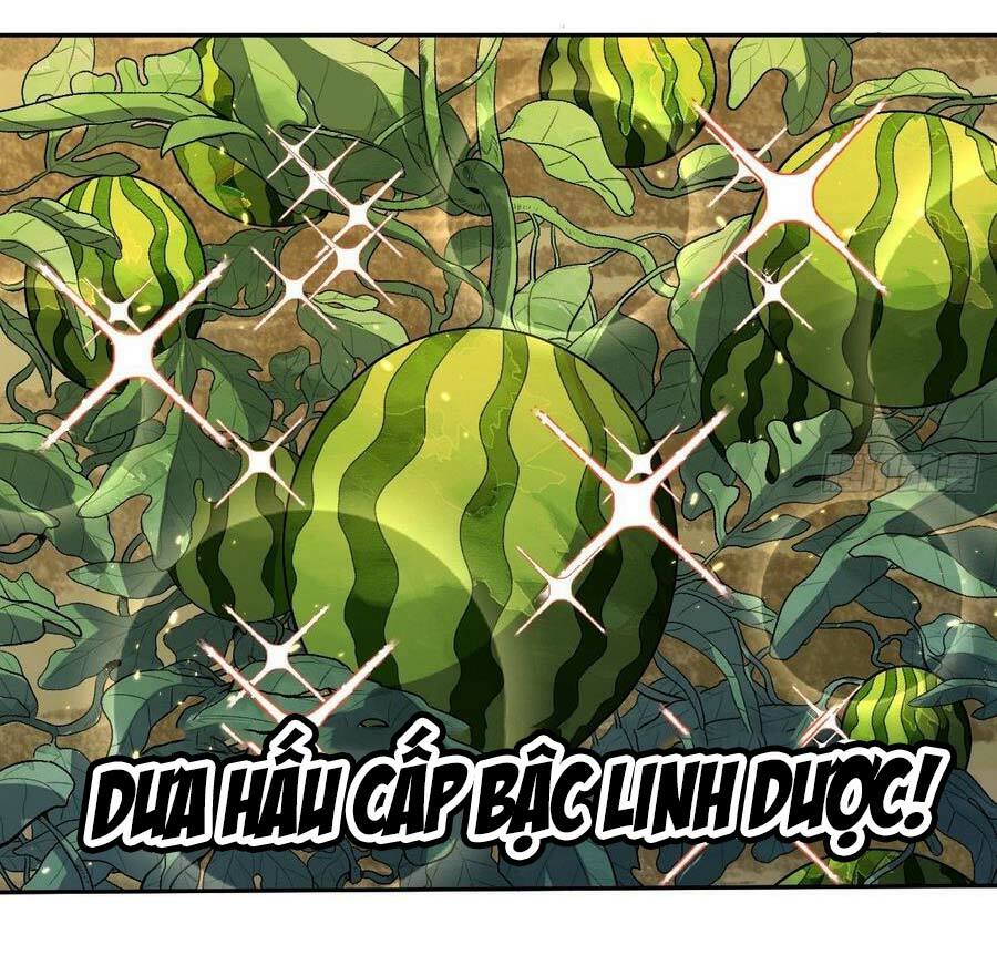 Nguyên Lai Ta Là Tu Tiên Đại Lão: Chapter 24
