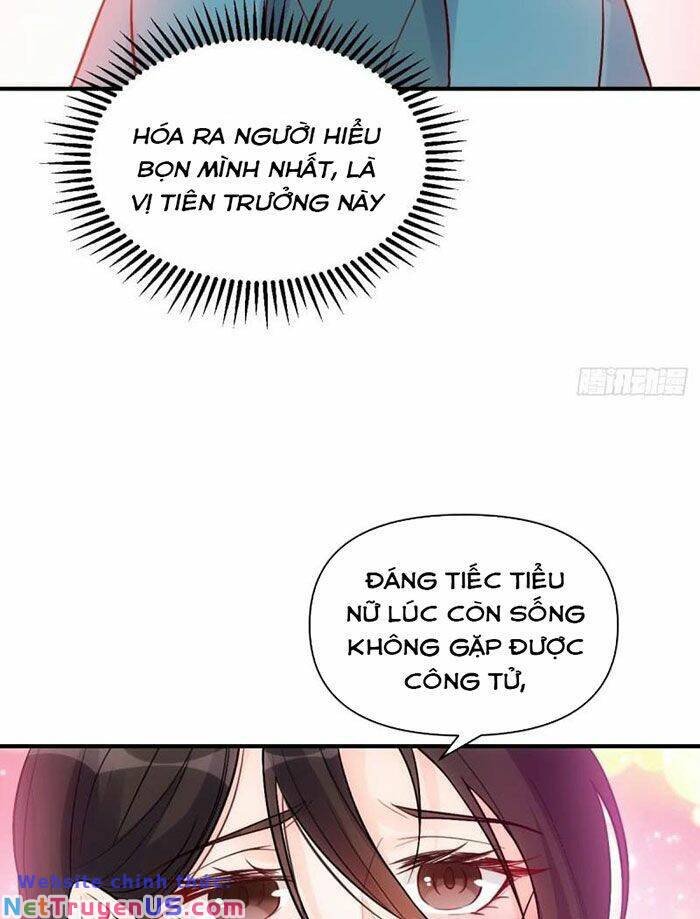 Nguyên Lai Ta Là Tu Tiên Đại Lão: Chapter 258