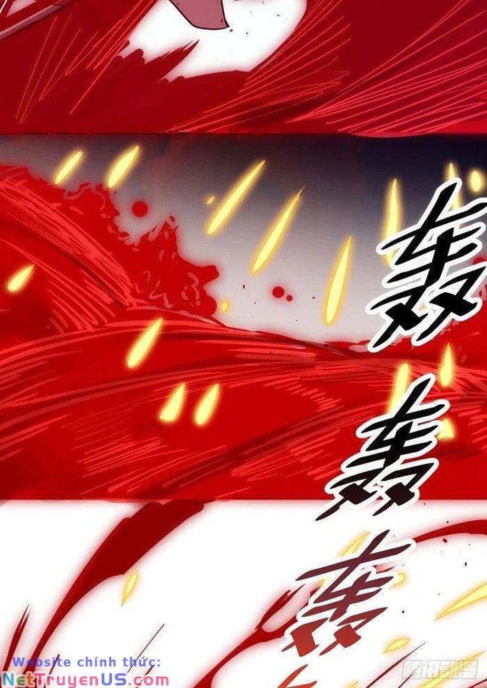 Nguyên Lai Ta Là Tu Tiên Đại Lão: Chapter 260
