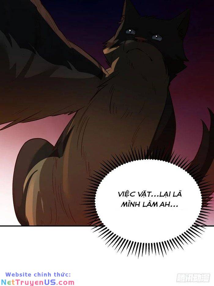 Nguyên Lai Ta Là Tu Tiên Đại Lão: Chapter 260