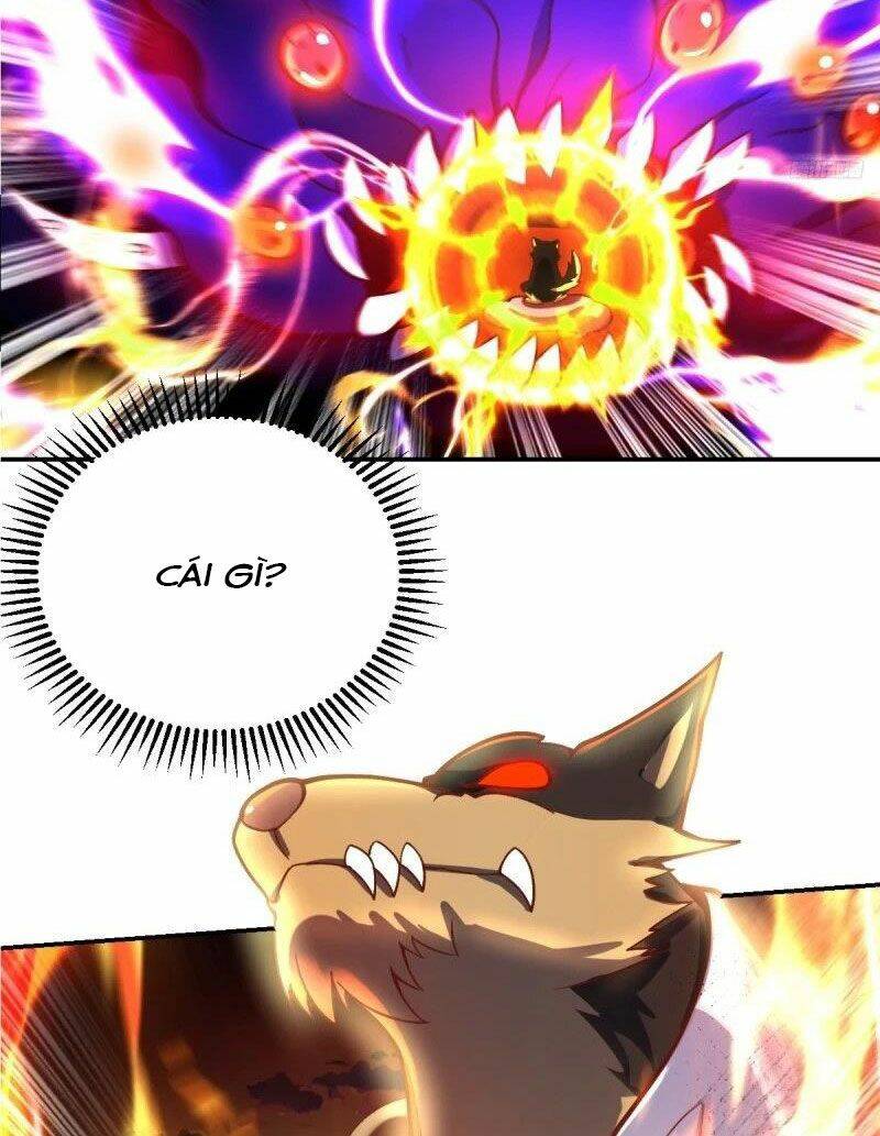 Nguyên Lai Ta Là Tu Tiên Đại Lão: Chapter 261