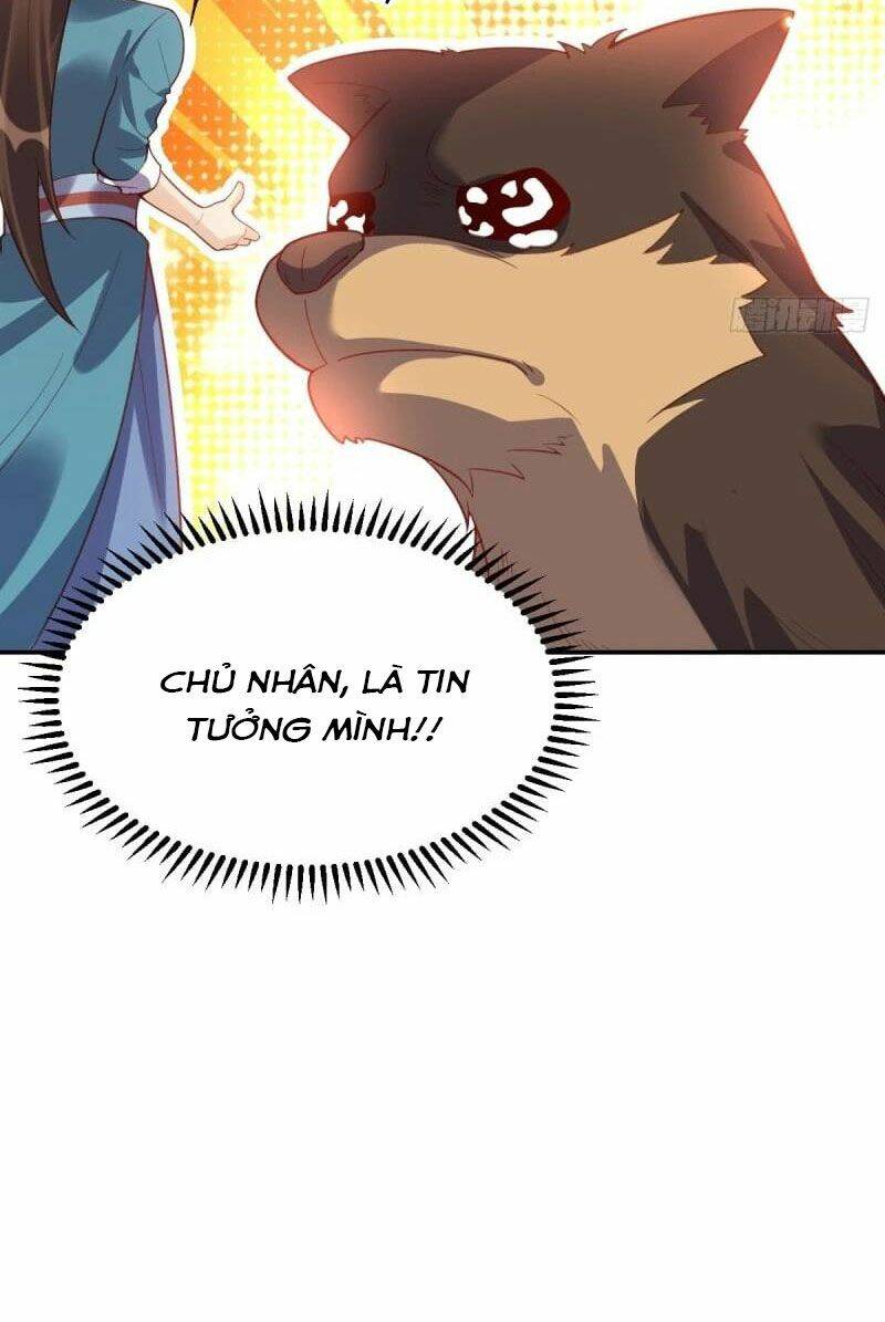 Nguyên Lai Ta Là Tu Tiên Đại Lão: Chapter 261